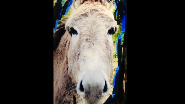 シナリオ 5枚目の写真・画像