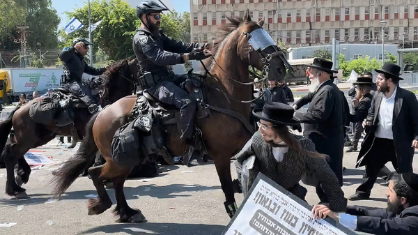 壁の外側と内側 10枚目の写真・画像