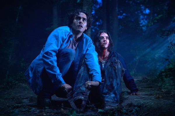 アンティル・ドーン 9枚目の写真・画像