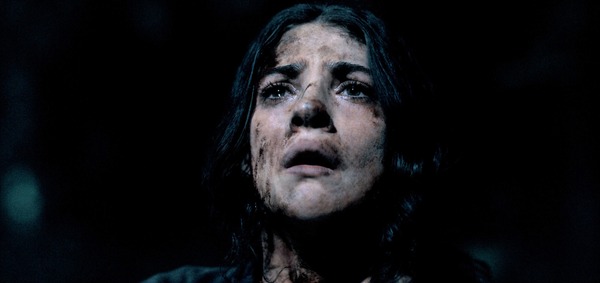 アンティル・ドーン 12枚目の写真・画像