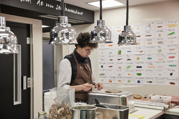 ムガリッツ 3枚目の写真・画像