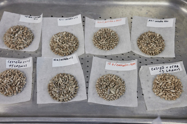 ムガリッツ 6枚目の写真・画像