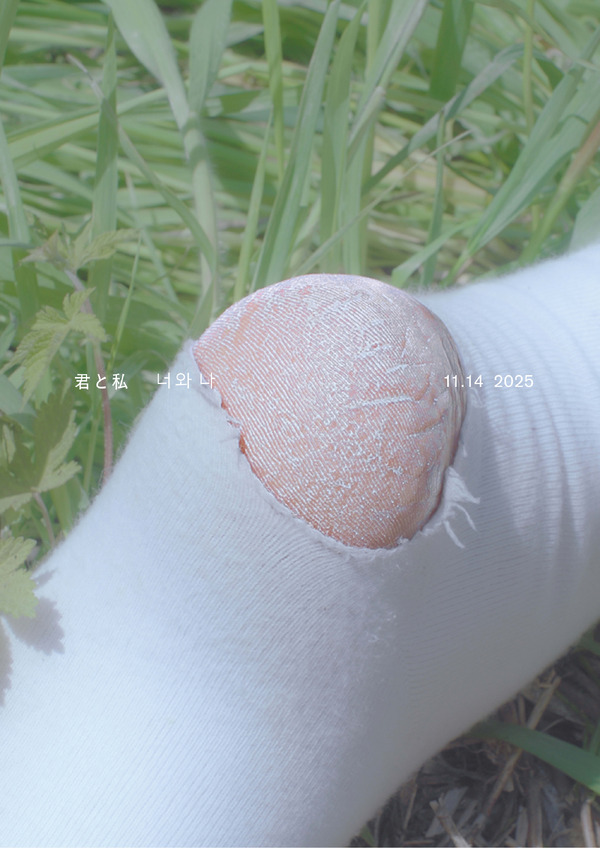 君と私 8枚目の写真・画像