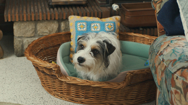 ファンファーレ！ふたつの音 14枚目の写真・画像