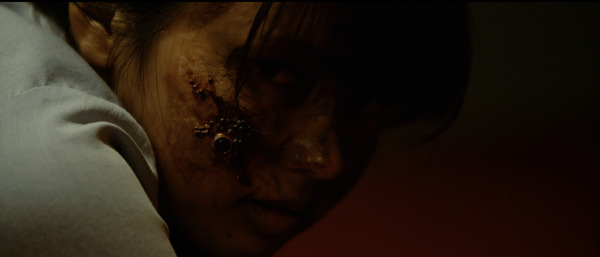 TSUSHIMA 4枚目の写真・画像