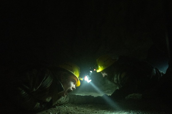エレベーション　絶滅ライン 9枚目の写真・画像