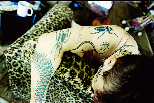 バード ここから羽ばたく 17枚目の写真・画像