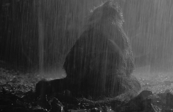 メイソウ家族 8枚目の写真・画像