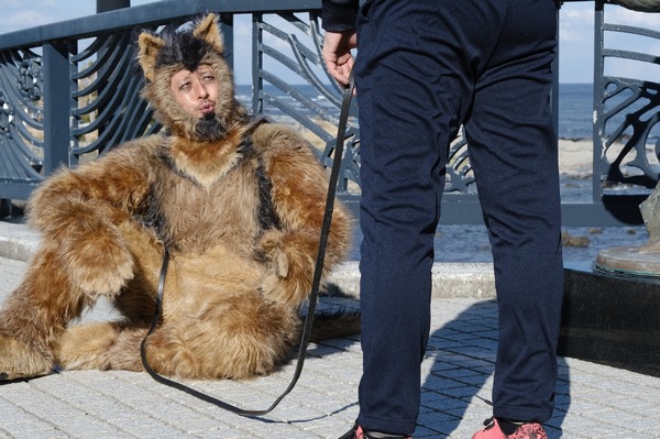 THE オリバーな犬、(Gosh!!)このヤロウ MOVIE 11枚目の写真・画像