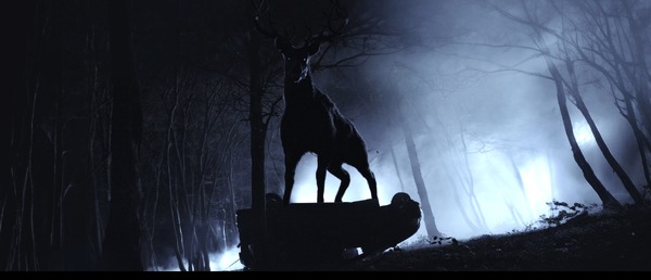 子鹿のゾンビ 17枚目の写真・画像