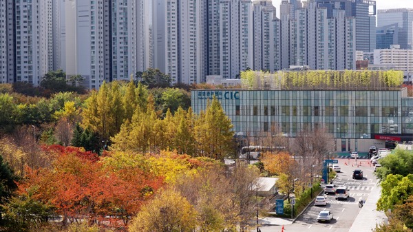 大地に詩を書くように 6枚目の写真・画像