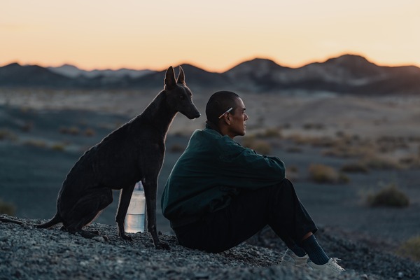 ブラックドッグ 9枚目の写真・画像