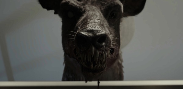 子鹿のゾンビ 20枚目の写真・画像