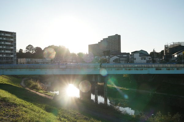 平場の月 12枚目の写真・画像