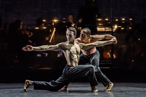 ©2025 Johan Persson