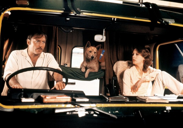 ロードゲーム 3枚目の写真・画像