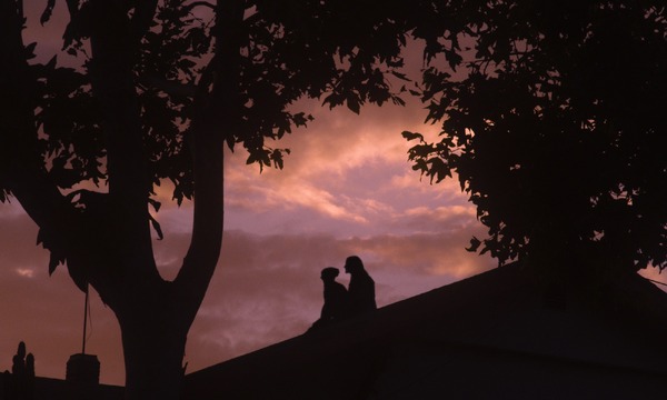 ハム・オン・ライ 3枚目の写真・画像