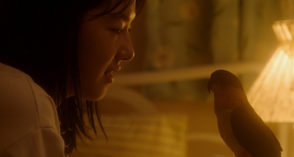 君と私 21枚目の写真・画像