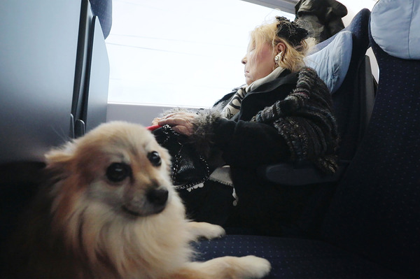 フジコ・ヘミング 永遠の音色 5枚目の写真・画像