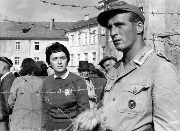 星 2枚目の写真・画像