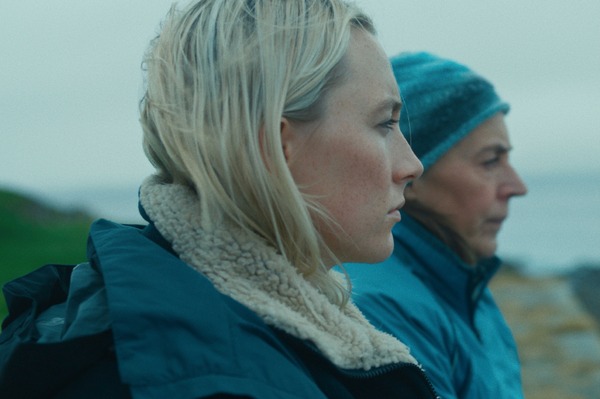 おくびょう鳥が歌うほうへ 7枚目の写真・画像