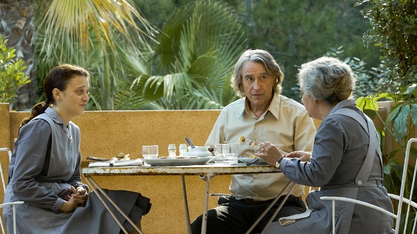 ペンギン・レッスン 5枚目の写真・画像