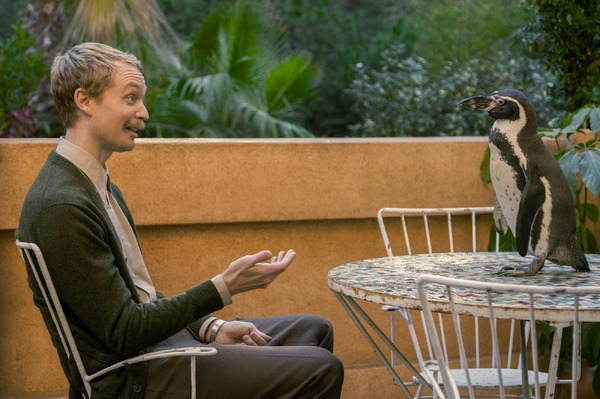 ペンギン・レッスン 6枚目の写真・画像