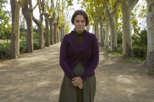 ペンギン・レッスン 13枚目の写真・画像