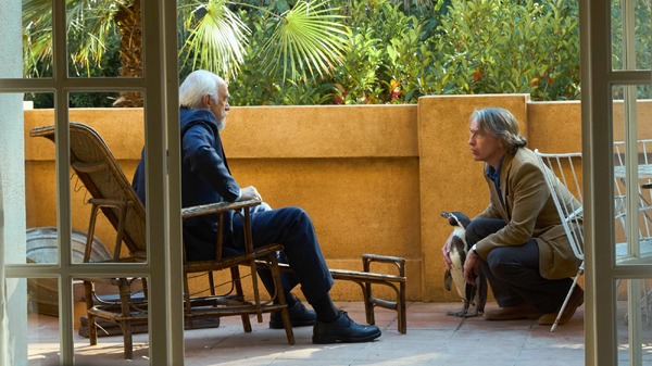 ペンギン・レッスン 16枚目の写真・画像