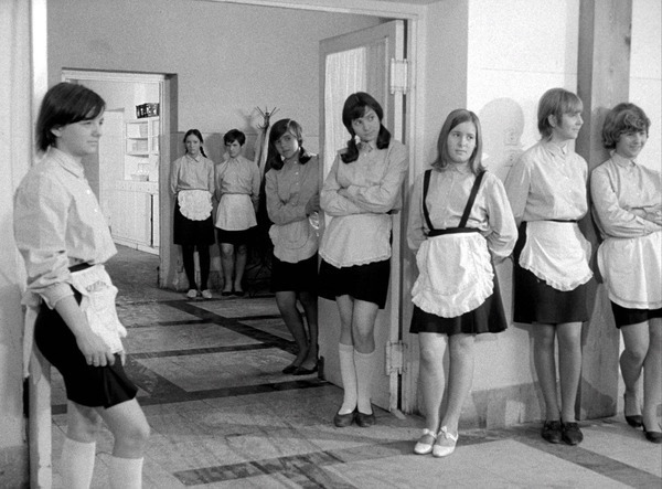 エルジ 4枚目の写真・画像