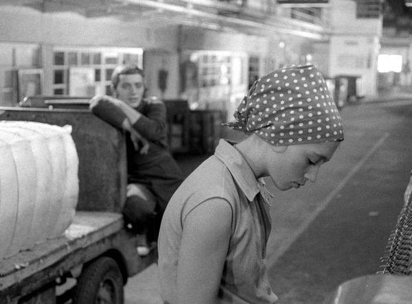 エルジ 6枚目の写真・画像