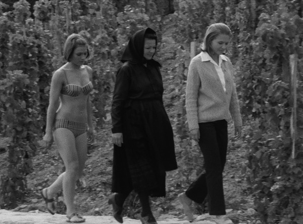 ⽉が沈むとき 6枚目の写真・画像