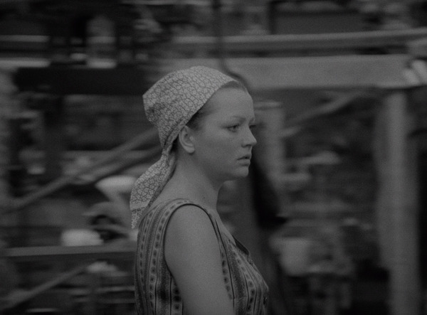 リダンス 6枚目の写真・画像