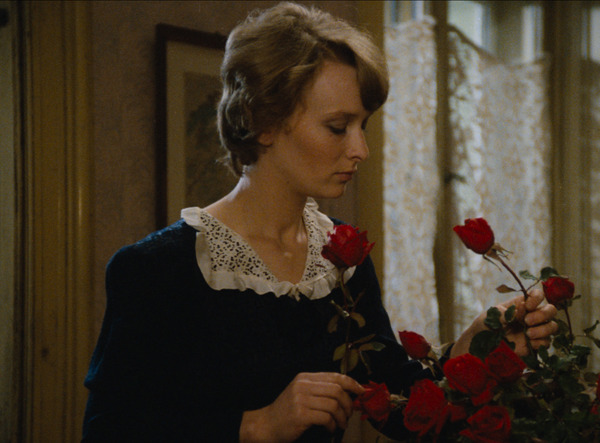 ⽇記 愛する⼈たちへ 6枚目の写真・画像