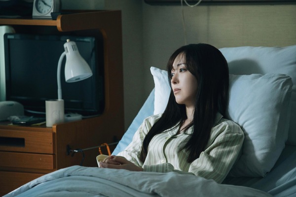 楓 12枚目の写真・画像