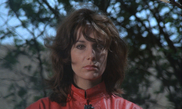 海賊のフィアンセ 4枚目の写真・画像