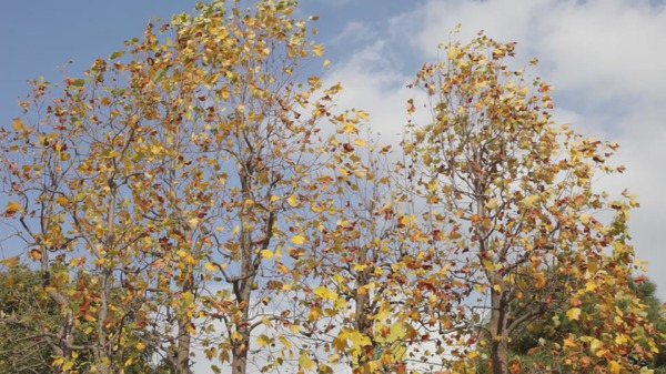 じぶん、まる！ いっぽのはなし 6枚目の写真・画像