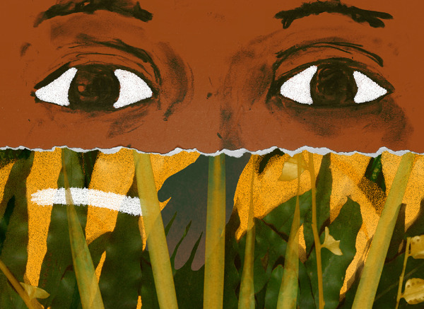 オリビアと雲 2枚目の写真・画像