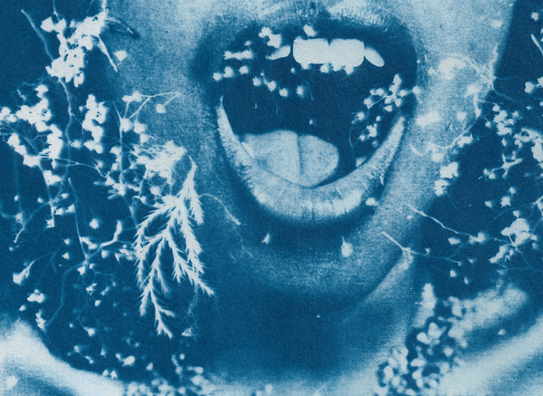 オリビアと雲 6枚目の写真・画像