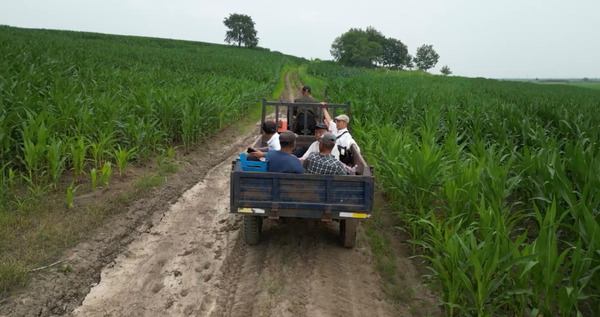 名無しの子 2枚目の写真・画像