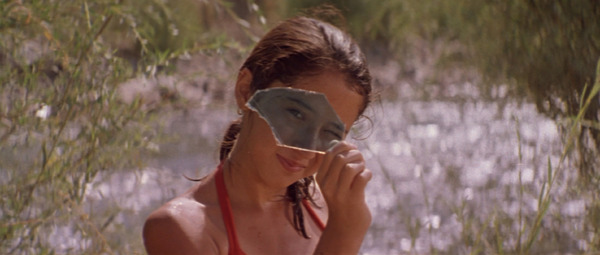 苦い果実 2枚目の写真・画像