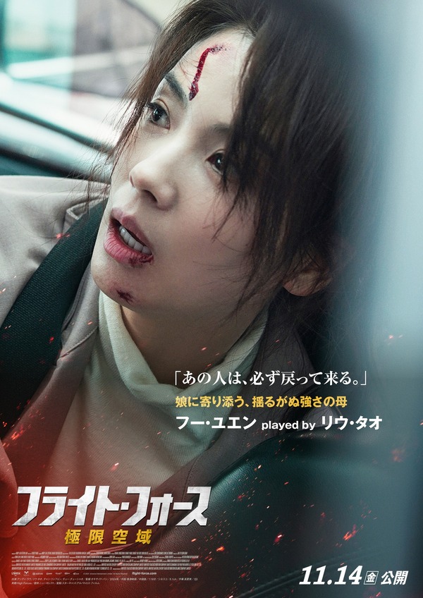 フライト・フォース　極限空域 4枚目の写真・画像