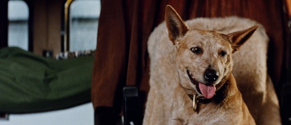 ロードゲーム 14枚目の写真・画像