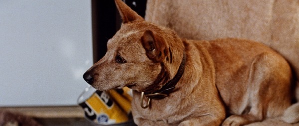 ロードゲーム 15枚目の写真・画像