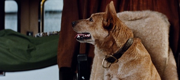 ロードゲーム 17枚目の写真・画像