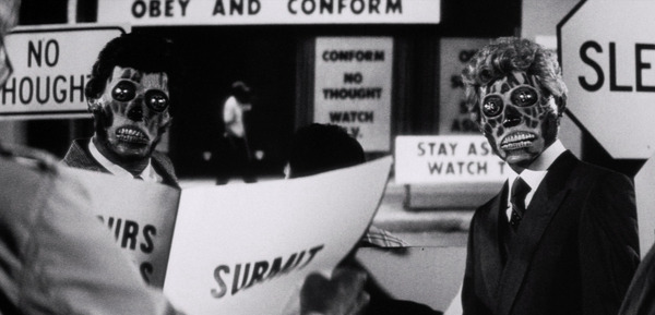 ゼイリブ 2枚目の写真・画像