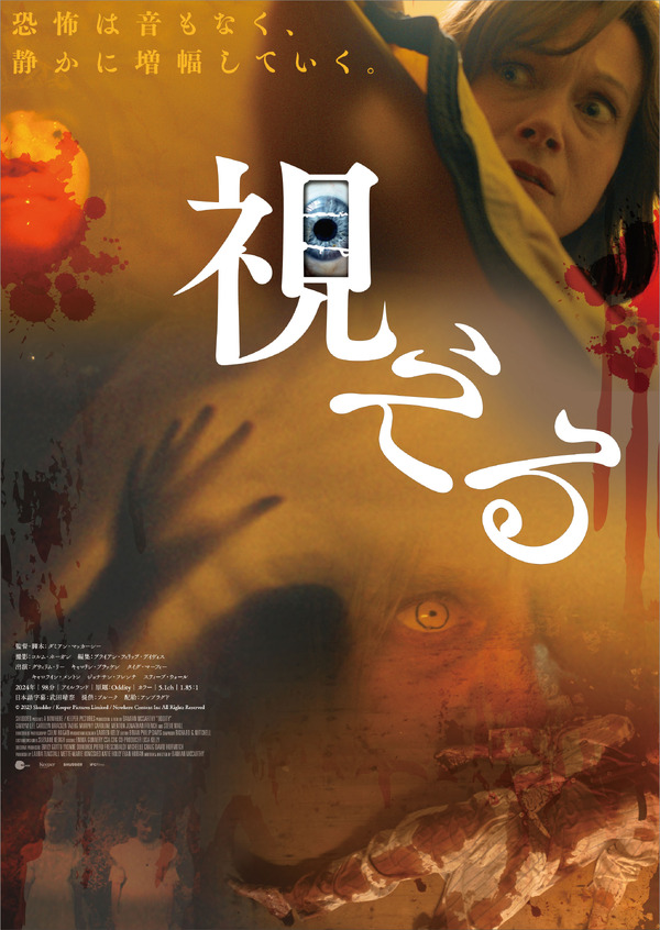 視える 2枚目の写真・画像