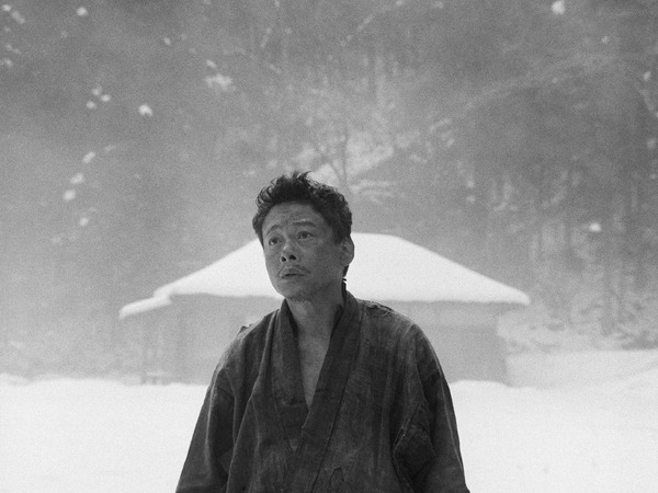 黒の牛 5枚目の写真・画像