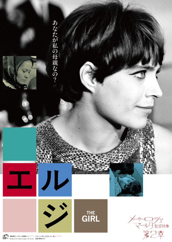 エルジ 1枚目の写真・画像