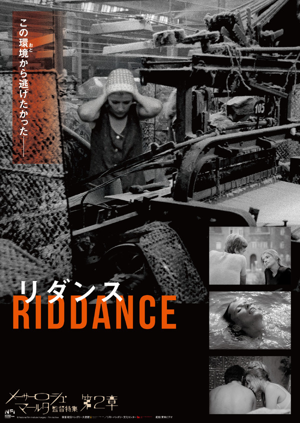 リダンス 1枚目の写真・画像